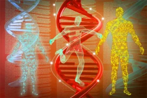 Height & Genetic Engineering: Could Future Generations Be Taller?