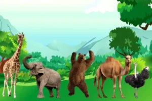 Height dominance in animals