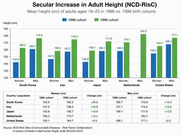 Increase in Adult Height in a century 1896-1996